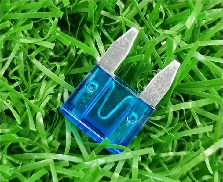 10 Amp Mini Blade Fuse